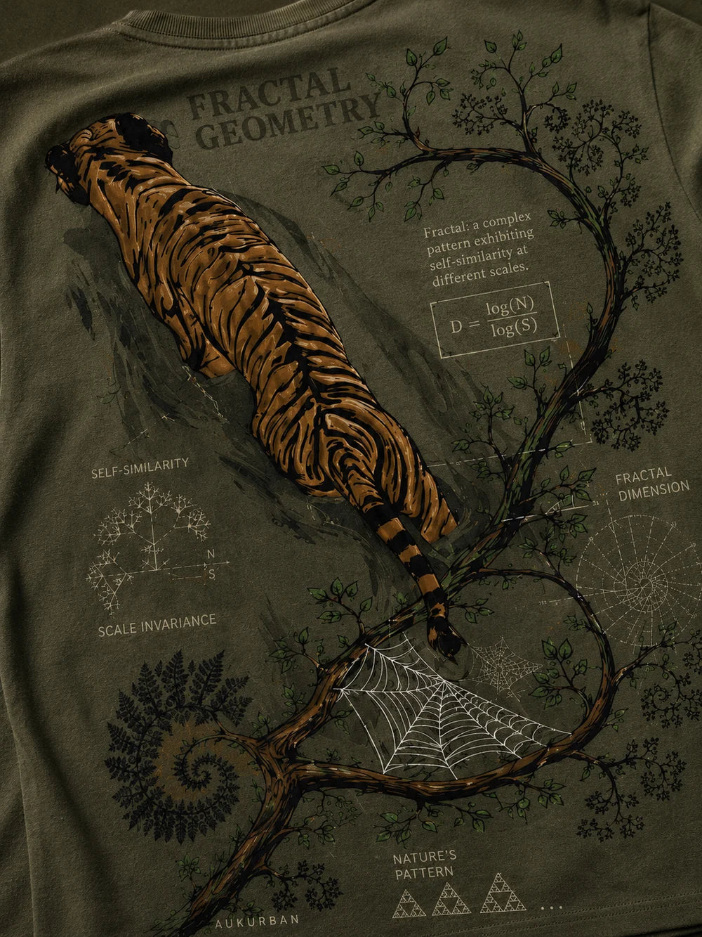 Fractal Geometry Explained In Auk Urban Science Collection